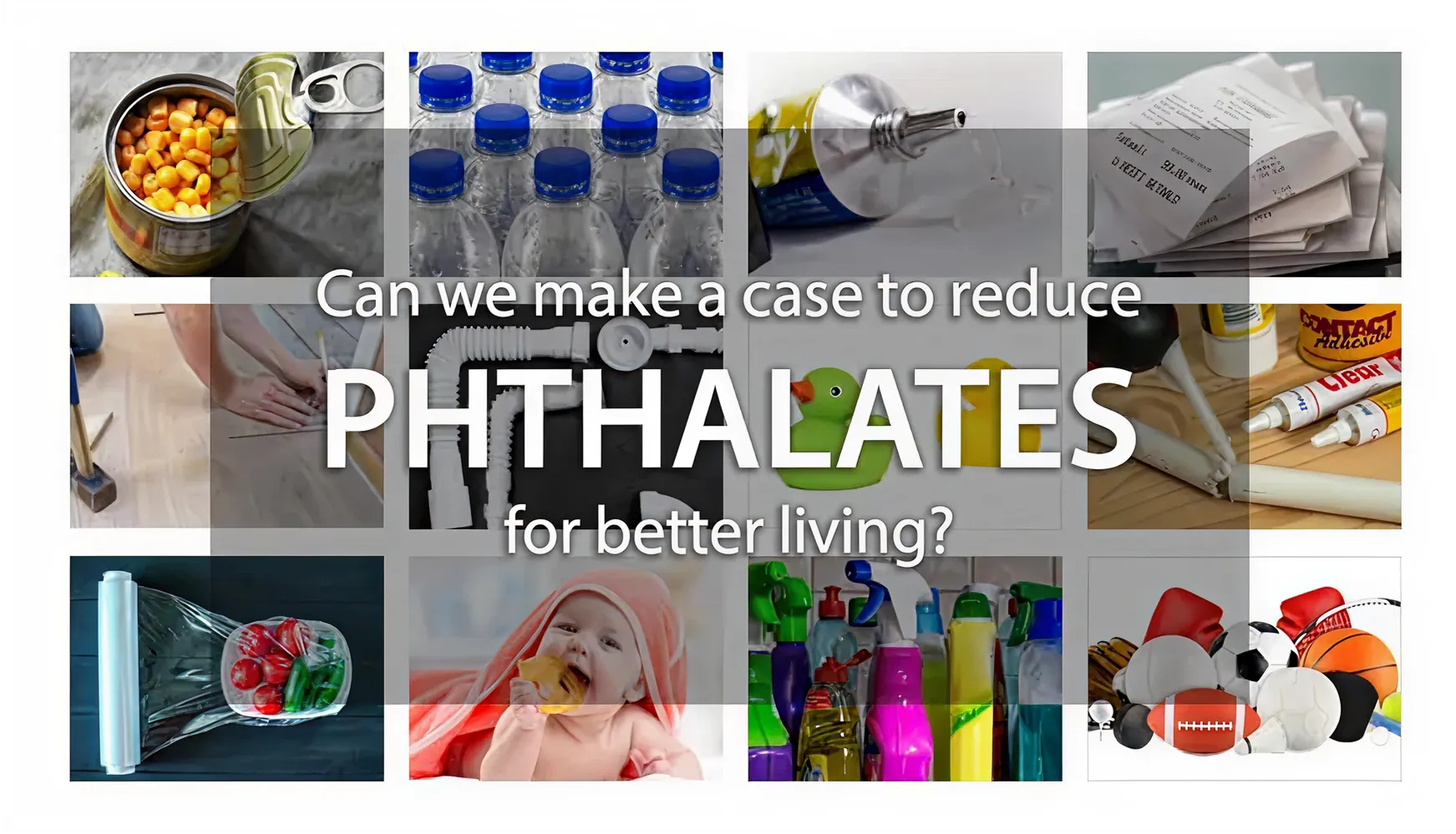 Can we make a case to reduce Phthalates for better living